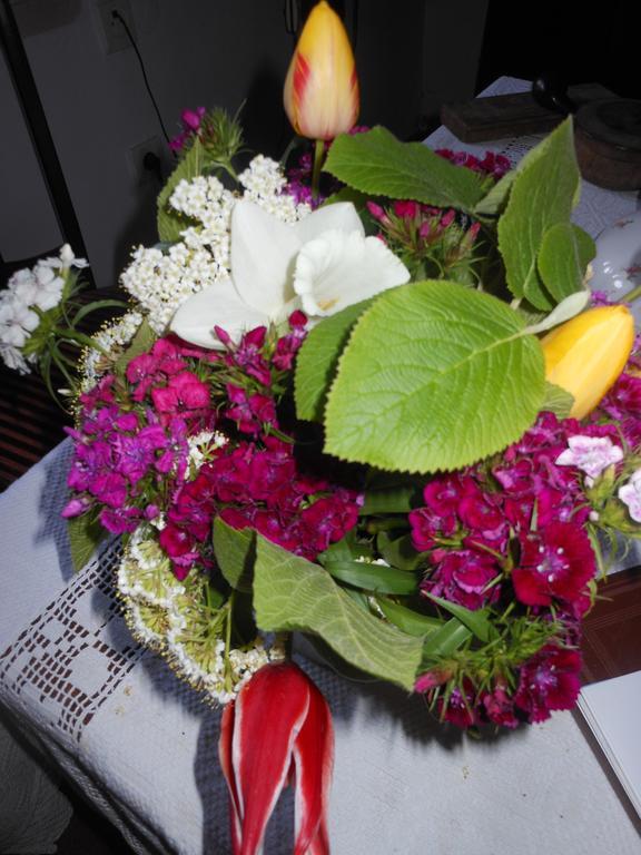 Vác Fonagy Es Walter Vendeg- Es Borhaz Bed & Breakfast 部屋 写真