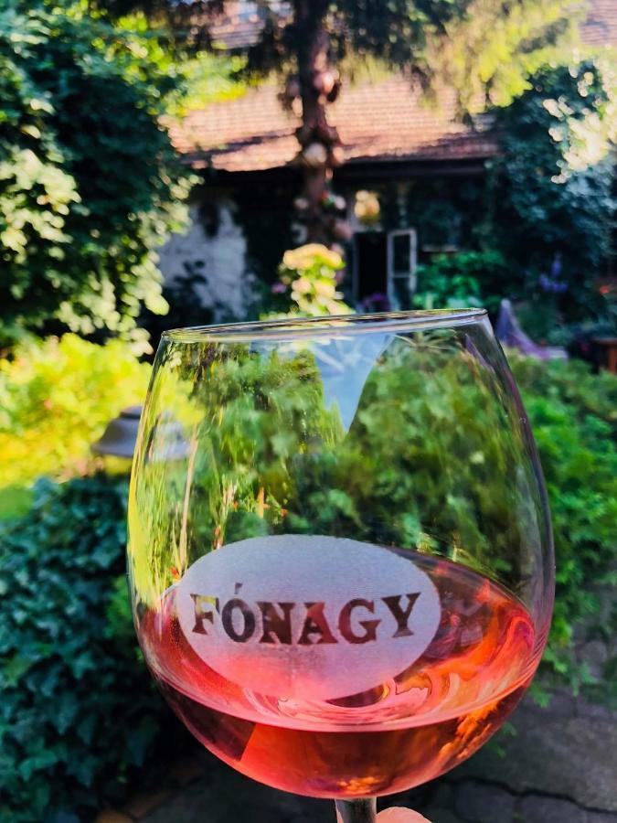 Vác Fonagy Es Walter Vendeg- Es Borhaz Bed & Breakfast 部屋 写真